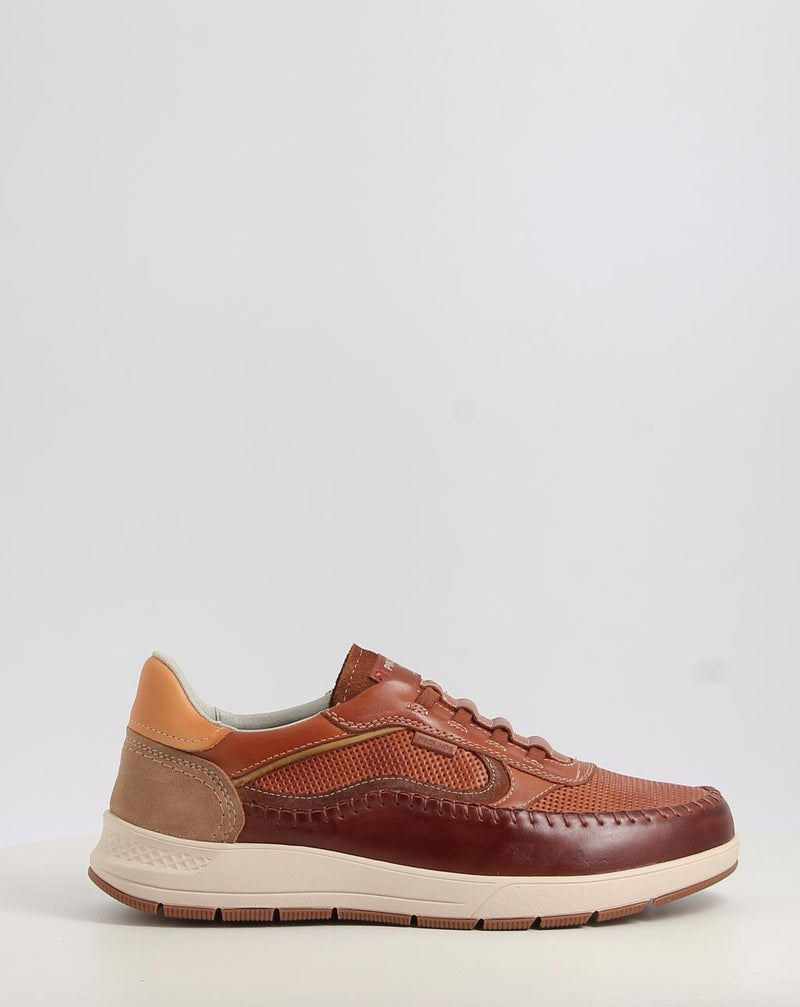 Scarpe PIKOLINOS SALAMANCA M7W-6423C1 cuoio