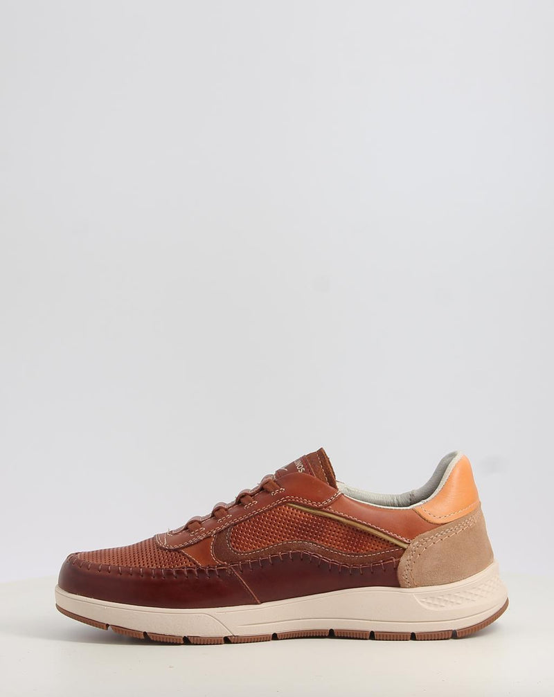 Scarpe PIKOLINOS SALAMANCA M7W-6423C1 cuoio