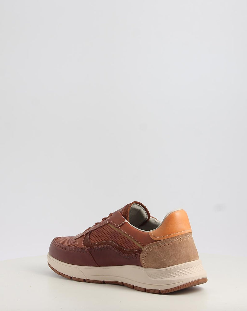 Scarpe PIKOLINOS SALAMANCA M7W-6423C1 cuoio