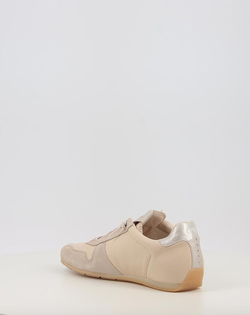 Scarpe sportive CETTI 1379 beige