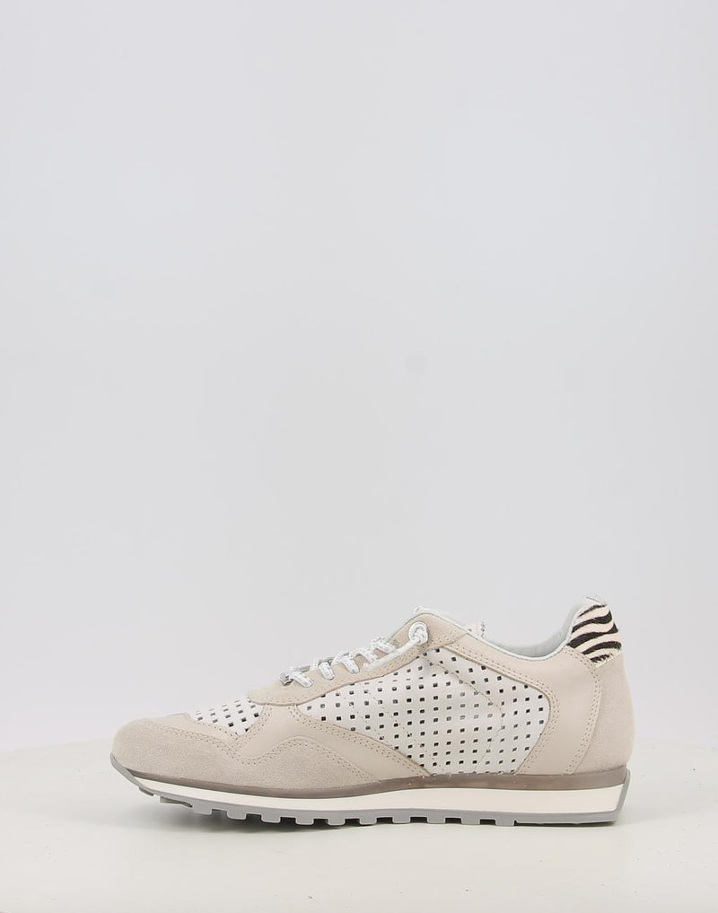 Scarpe sportive CETTI C-848 crema