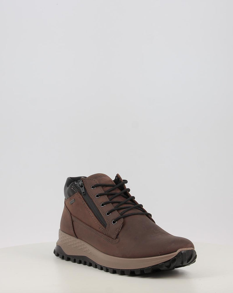 Stivaletti IGI & CO U.EOLO GTX 86255 marrone