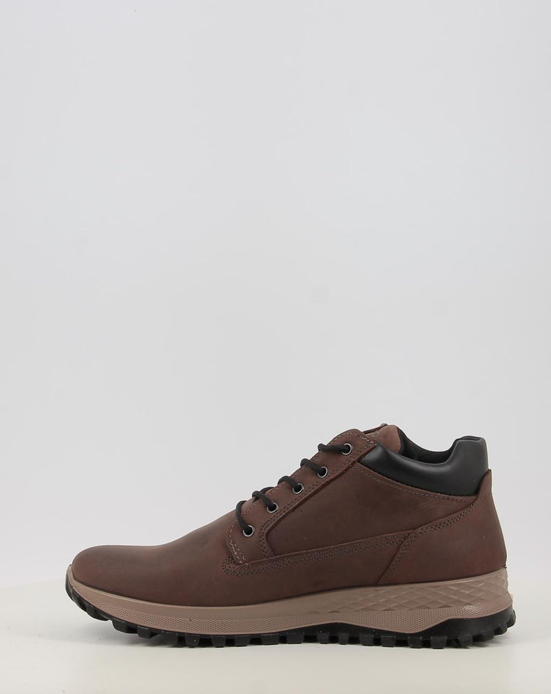 Stivaletti IGI & CO U.EOLO GTX 86255 marrone