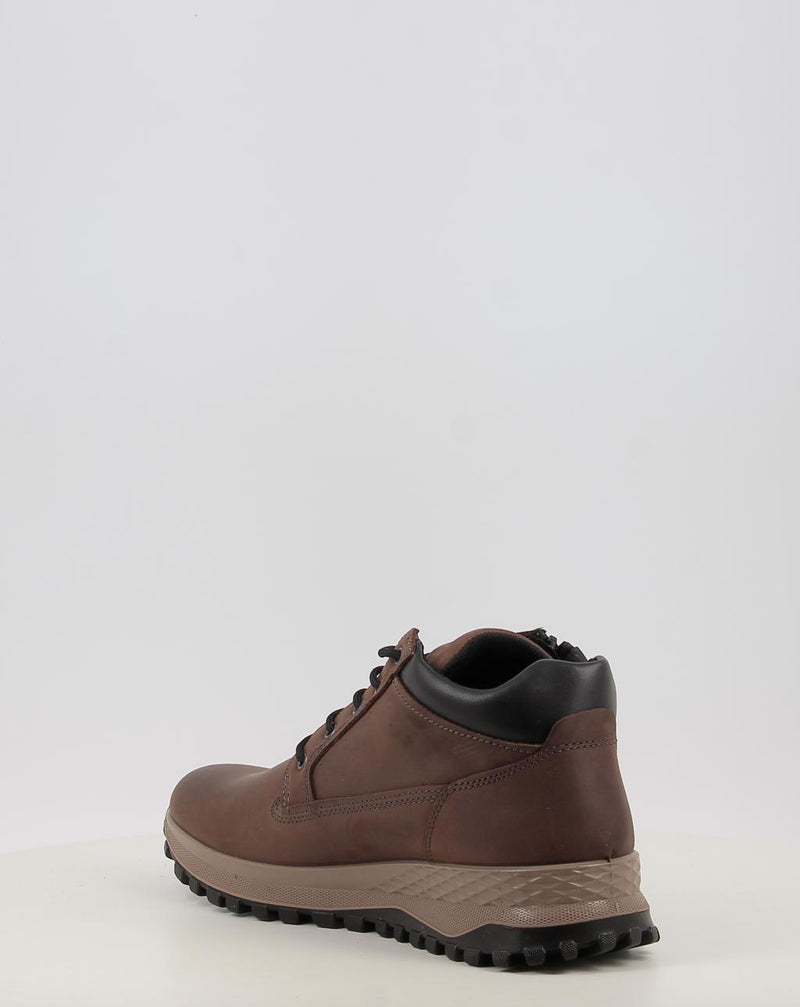 Stivaletti IGI & CO U.EOLO GTX 86255 marrone