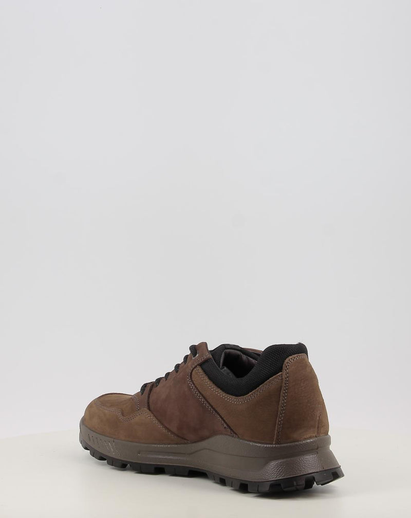 Scarpe IGI & CO U.ELOY GTX 86294 taupe